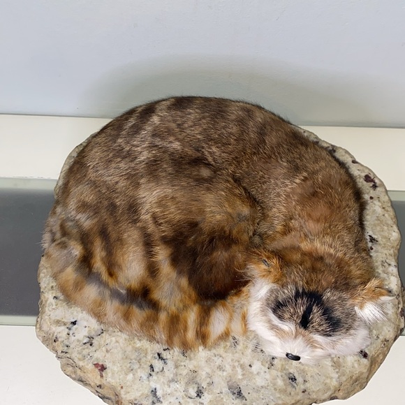 Vintage Beautiful Real Rabbit Fur Soft Realistic Sleeping Cat- - Picture 2 of 10